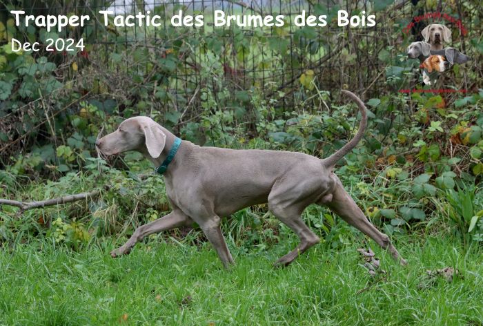 nouvelles photos de Tactic 